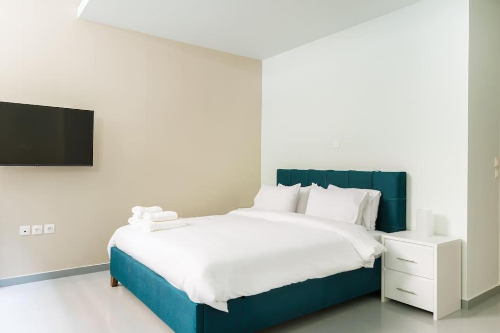 Snug Studio Apartment With Shared Garden IV Athens Exterior photo